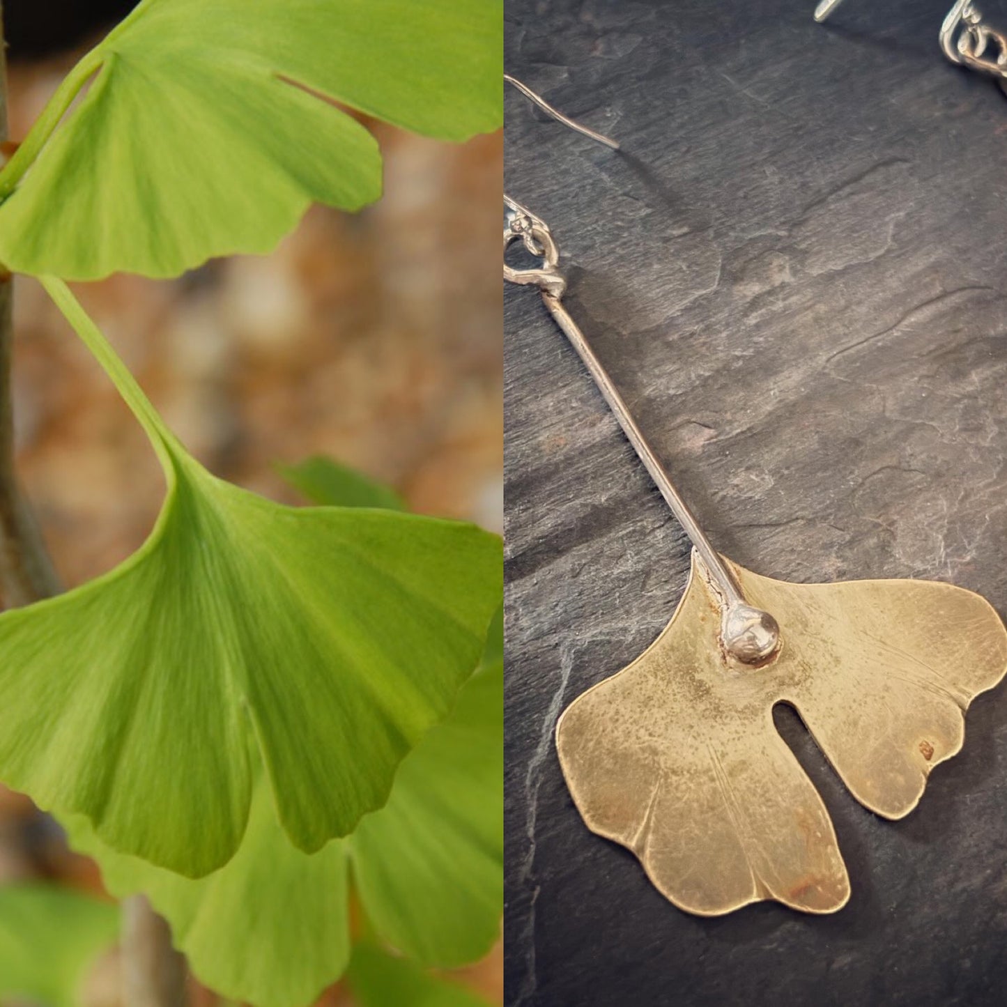 Ginkgo Brass & Silver Earrings
