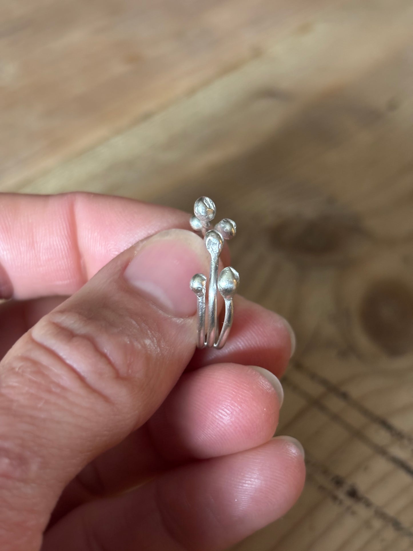 Sterling Silver Twigs and Berries Ring