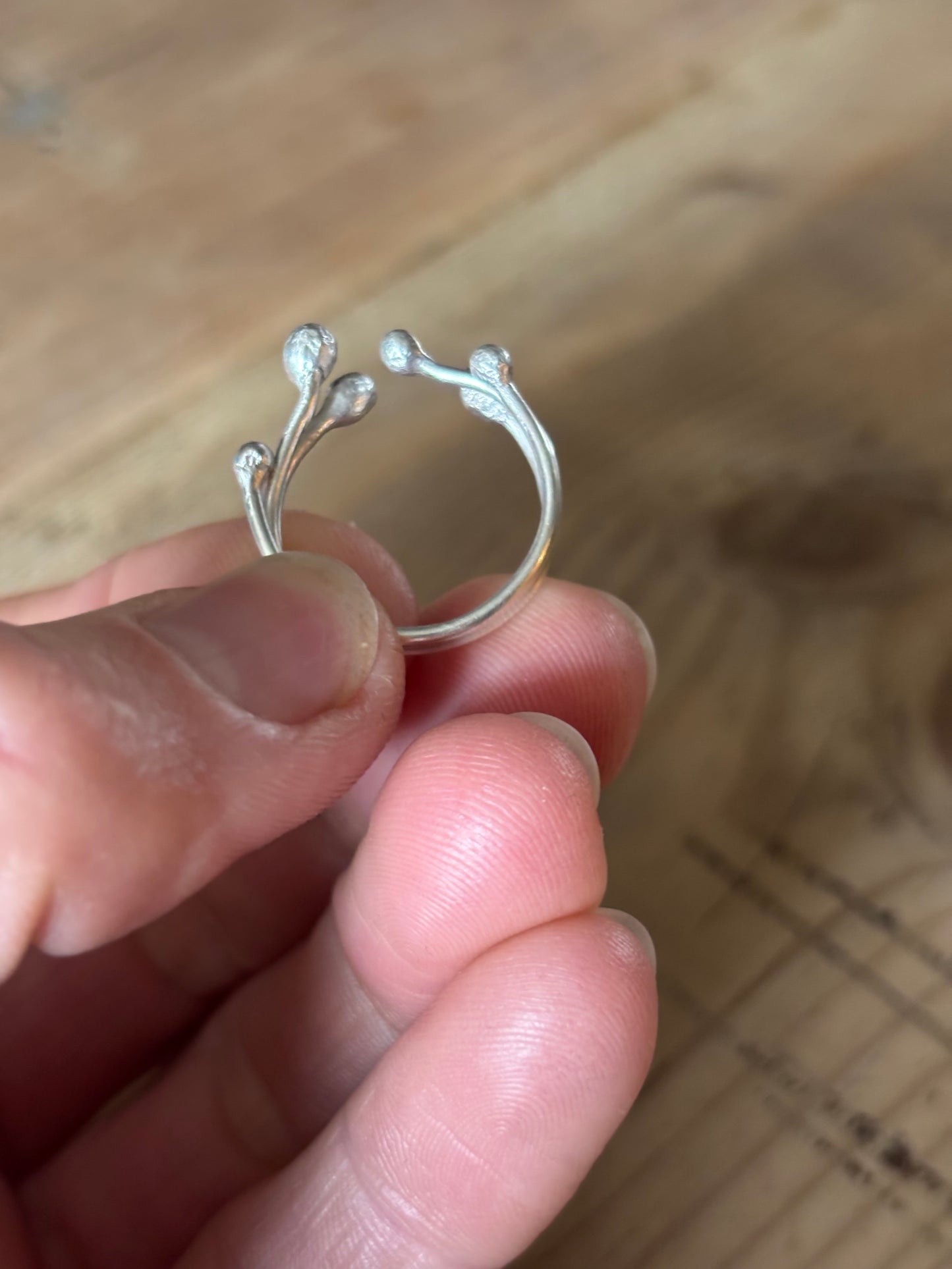 Sterling Silver Twigs and Berries Ring